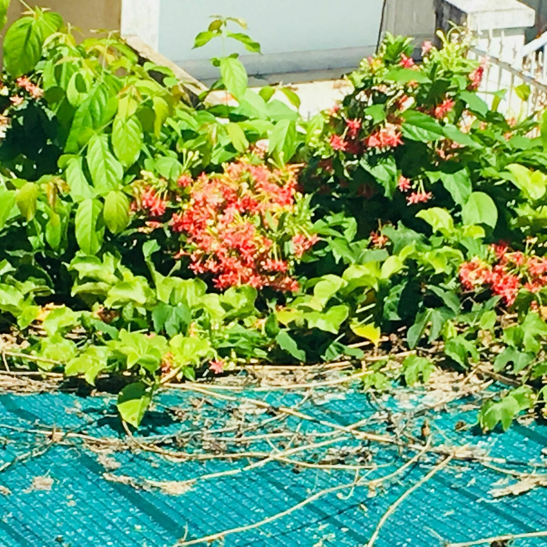 Nha Minh Homestay Đà Nẵng Extérieur photo